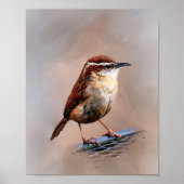 Carolina Wren Poster (Vorne)