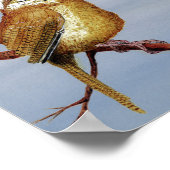 Carolina Wren Poster (Ecke)