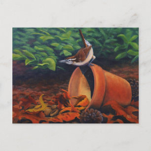 Carolina Wren Postkarte