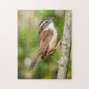 Carolina-Wren-Puzzle Puzzle