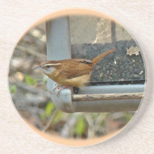Carolina Wren Untersetzer (Vorne)