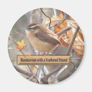 Carolina Wren Vogelbeobachtung Magnet. Magnet