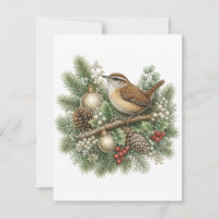 Carolina Wren Winter Songbirds Kollektion 