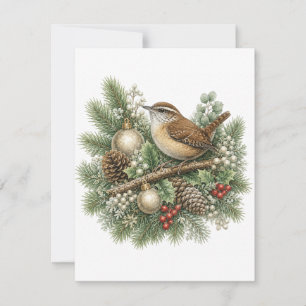 Carolina Wren Winter Songbirds Kollektion Mitteilungskarte