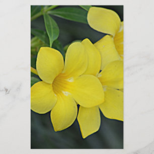 Carolina Yellow Jessamin Briefpapier