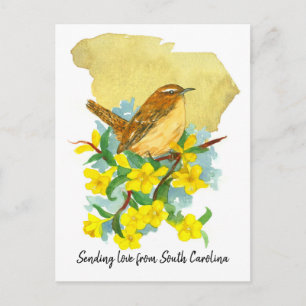 Carolina Zaunkönig-Vogel-Jessamin-Gelbe Blumen Postkarte