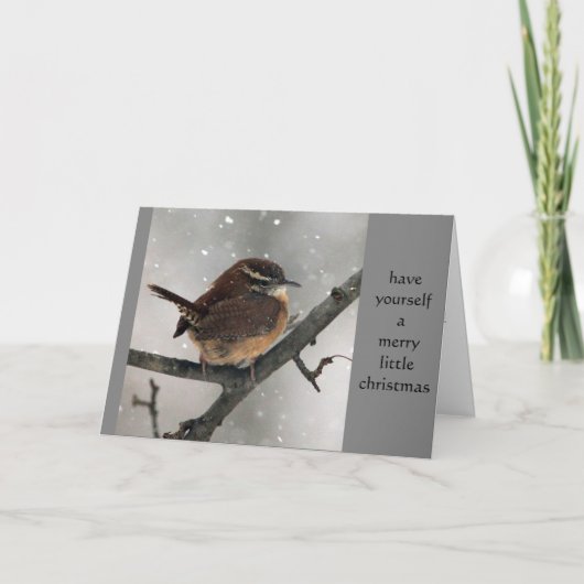 Carolina-Zaunkönig-Weihnachtskarte Feiertagskarte (Vorderseite)