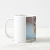 Carolina-Zaunkönigphotographie Kaffeetasse (Links)