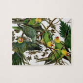 CarolinaParakeet Puzzle (Horizontal)