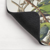 CarolinaParakeet, "von den Vögeln von Amerika", Mousepad (Ecke)