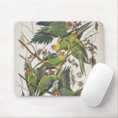 CarolinaParakeet, "von den Vögeln von Amerika", Mousepad (Mit Mouse)