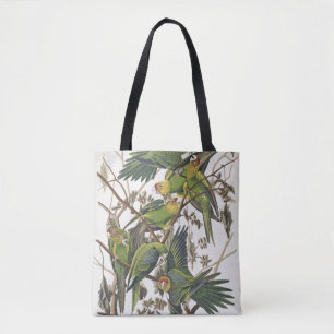 CarolinaParakeet, "von den Vögeln von Amerika", Tasche