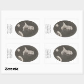 Caroline Johanna Lovisa Ridderstolpe, 1815 Rechteckiger Aufkleber (Blatt)