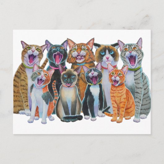Caroling Cats Postkarte (Vorderseite)