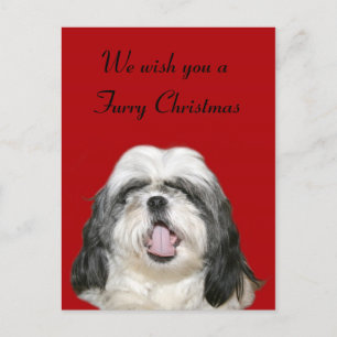 Caroling Christmas Shih Tzu Feiertagspostkarte