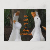 Caroling White Ducks Christmas Feiertagspostkarte (Vorderseite)