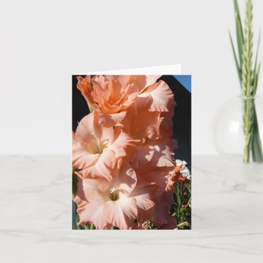 Carol's Gladiola Greeting Card Karte (Vorderseite)