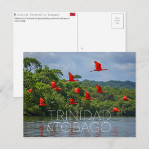 Caroni-Vogelschutzgebiet, Trinidad und Tobago Reis Postkarte