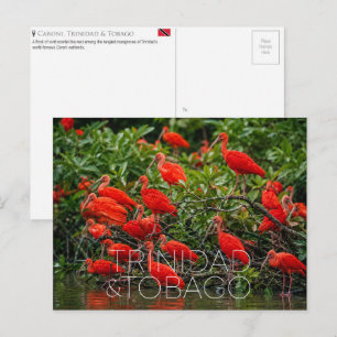 Caroni-Vogelschutzgebiet, Trinidad und Tobago Reis Postkarte