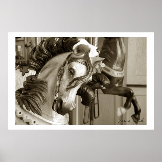 Carousel 40 Poster Print (Vorne)