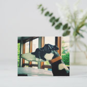 Carousel Dog Postkarte (Stehend Vorderseite)