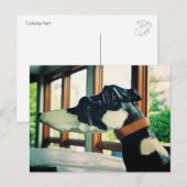 Carousel Dog Postkarte (Vorne/Hinten)