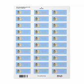 Carousel Dreams Blue Customizable Address Labels (Vorne)