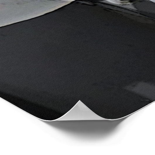 Carousel Dreams Poster (Ecke)