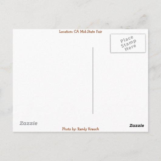 Carousel Dreams Postkarte (Rückseite)