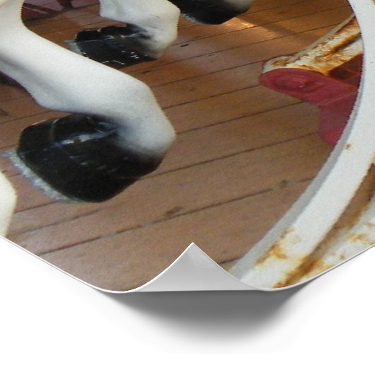 Carousel Horse Poster (Ecke)