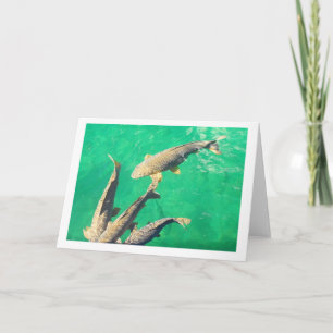 Carp Karte