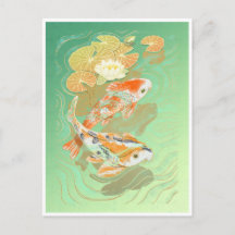 Carp Koi Fish Water Lily Pond Postkarte
