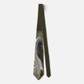 Carp-Krawatte Krawatte (Vorderseite)