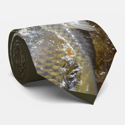 Carp-Krawatte Krawatte (Gerollt)