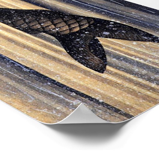 Carp Leaping Up Wasserfall Hokusai Fine Art Poster (Ecke)