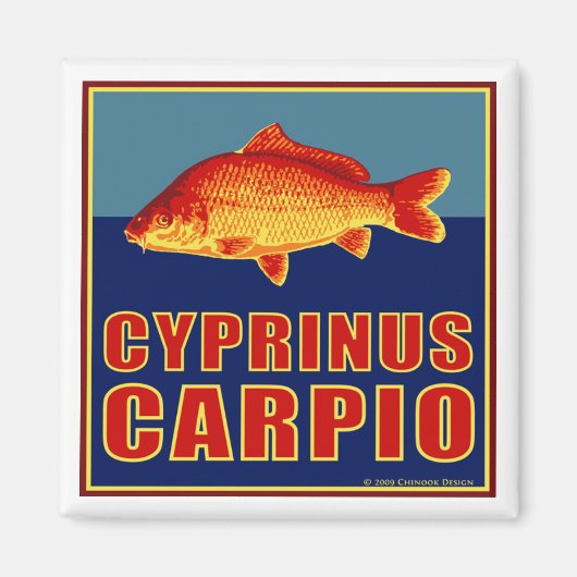 Carp-Magnet Magnet (Vorne)