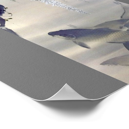 Carp und White Wisteria, Watanabe Seitei Poster (Ecke)