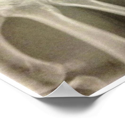 Carpals Xray Poster (Ecke)