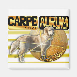 CARPE AURUM LATEIN ERGREIFEN DAS GOLDgolden Magnet