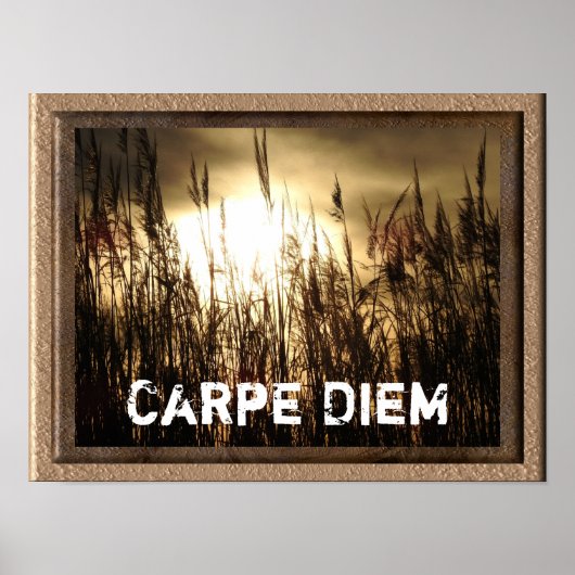 Carpe Diem - Art Poster Print (Vorne)