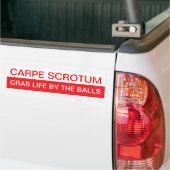 Carpe Diem? Autoaufkleber (Auf Lkw)