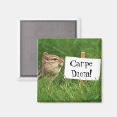 Carpe Diem Chipmunk Magnet (Vorderseite/Rückseite)