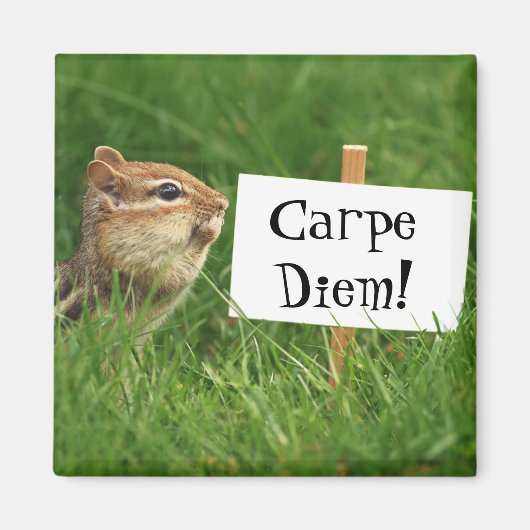 Carpe Diem Chipmunk Magnet (Vorne)