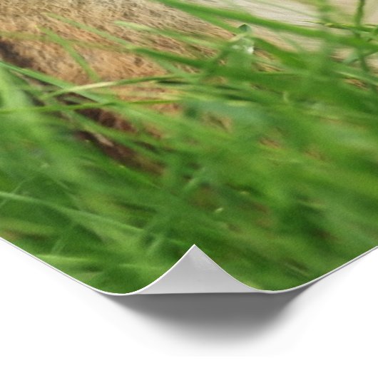 Carpe Diem Chipmunk mit Sign Poster (Ecke)