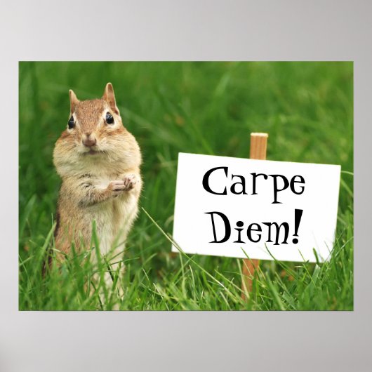 Carpe Diem Chipmunk mit Sign Poster (Vorne)