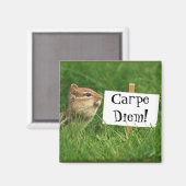 Carpe Diem! Chipmunk mit Zeichen Magnet (Vorderseite/Rückseite)