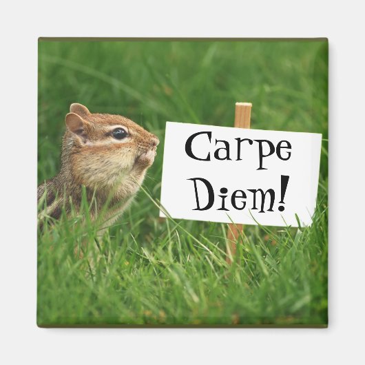 Carpe Diem! Chipmunk mit Zeichen Magnet (Vorne)