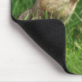 Carpe Diem! Chipmunk mit Zeichen Mousepad (Ecke)