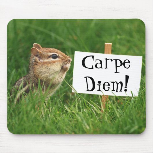 Carpe Diem! Chipmunk mit Zeichen Mousepad (Vorne)