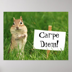 Carpe Diem Chipmunk mit Zeichen-Plakat Poster